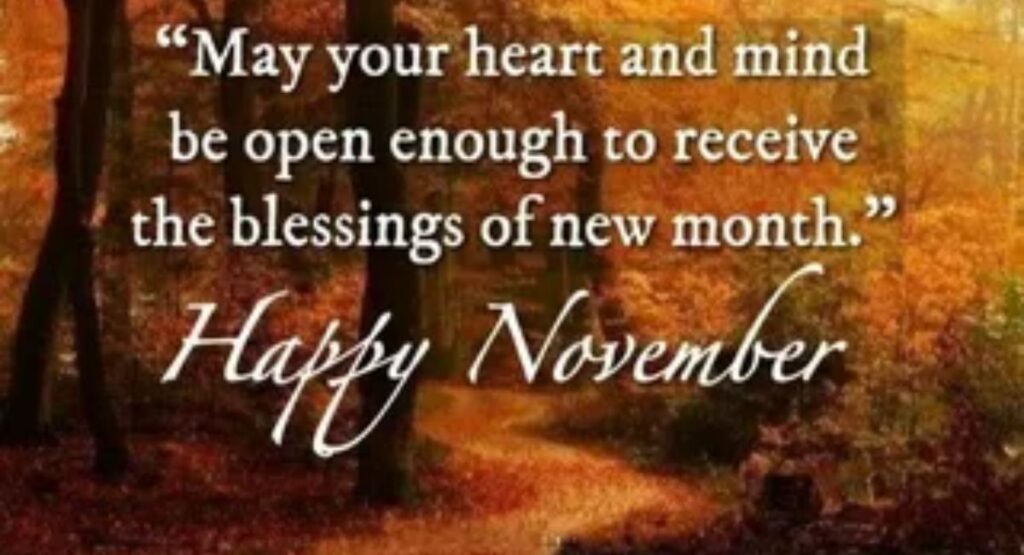 funny november quotes to brighten your day
