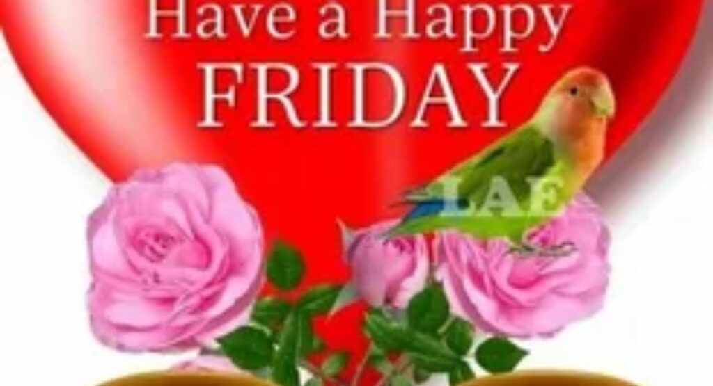 beautiful good morning friday images