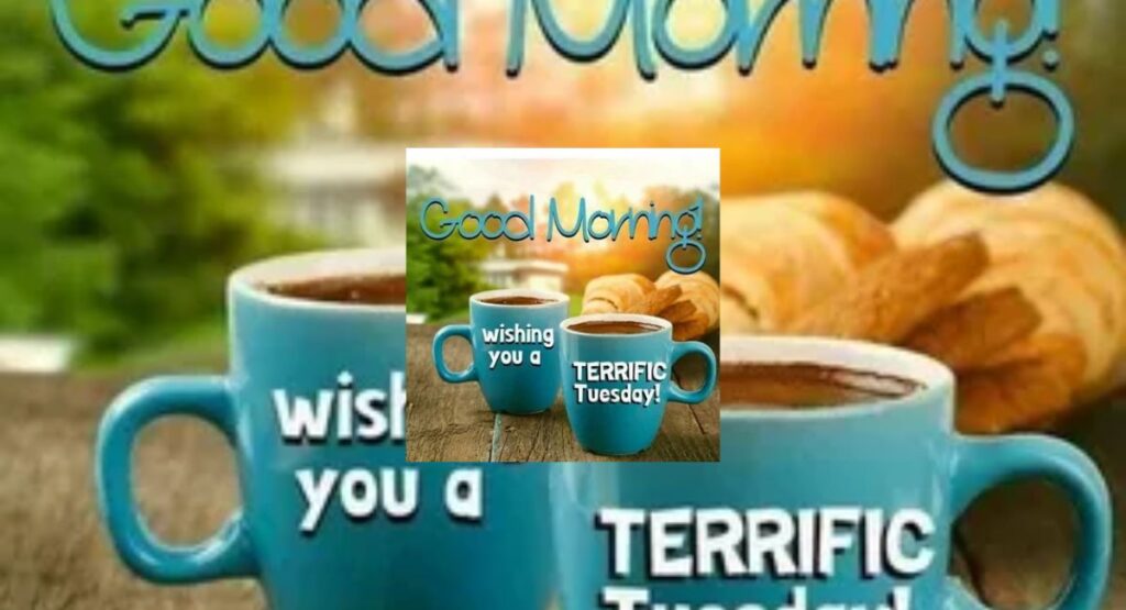 beautiful good morning tuesday blessings