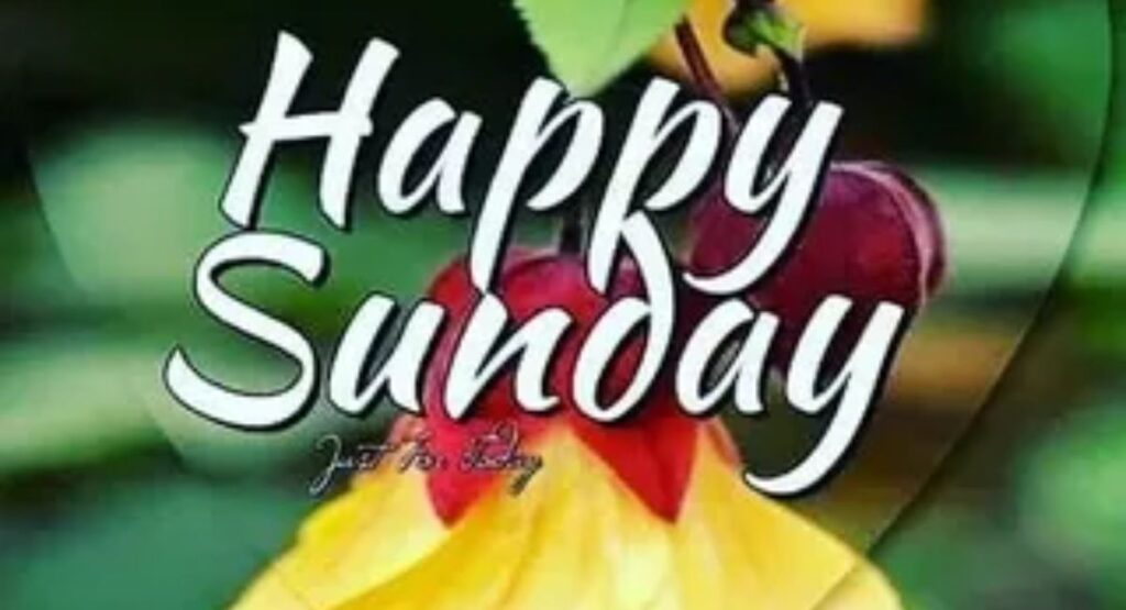 beautiful happy sunday images and pictures