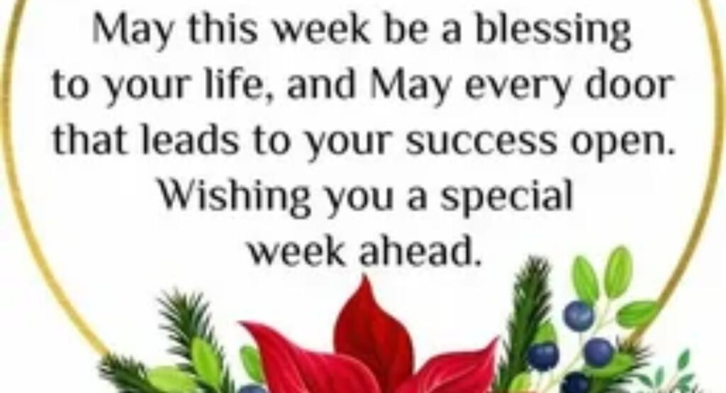blessed monday evening wishes
