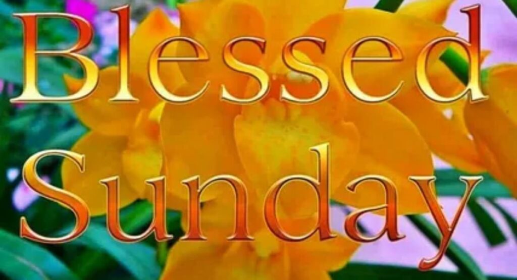 blessed sunday quotes blessings images and prayers for a beautiful day