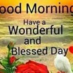 good morning have a blessed day – 100 blessings quotes and wishes