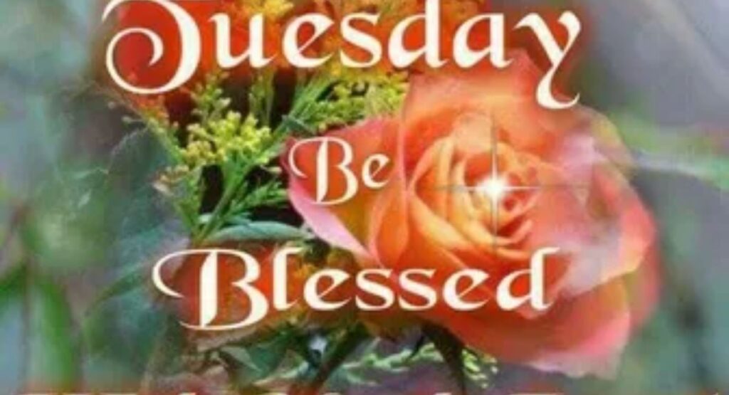 good morning tuesday blessings