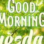 good morning tuesday blessings quotes and prayers