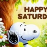 happy saturday images
