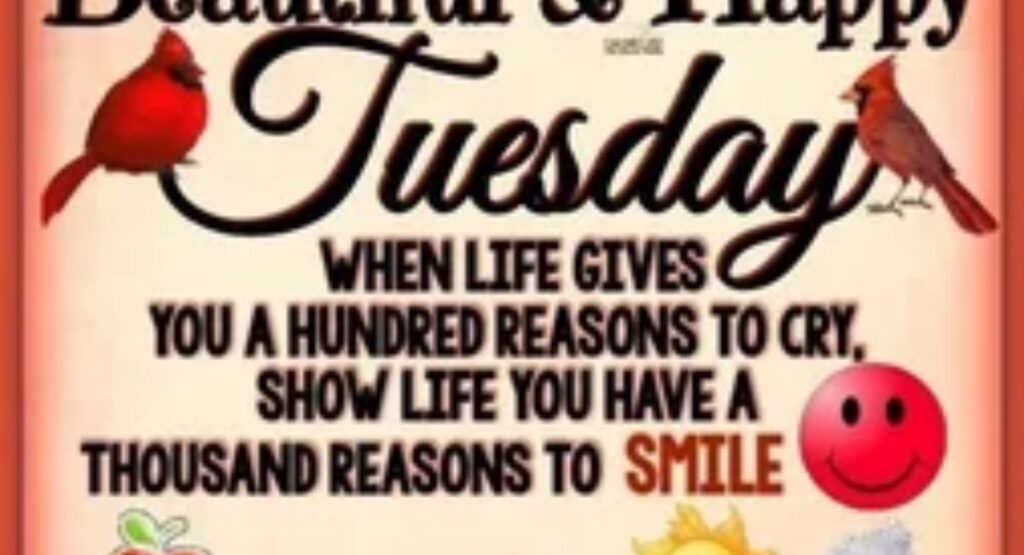 happy tuesday blessings for family gatherings