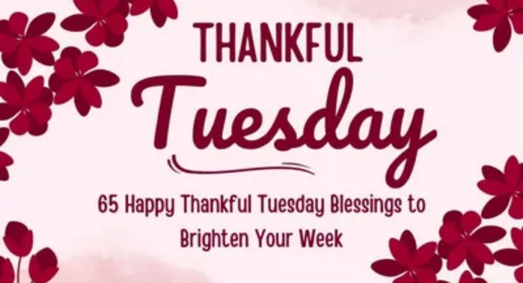 happy tuesday blessings images quotes prayers and wishes