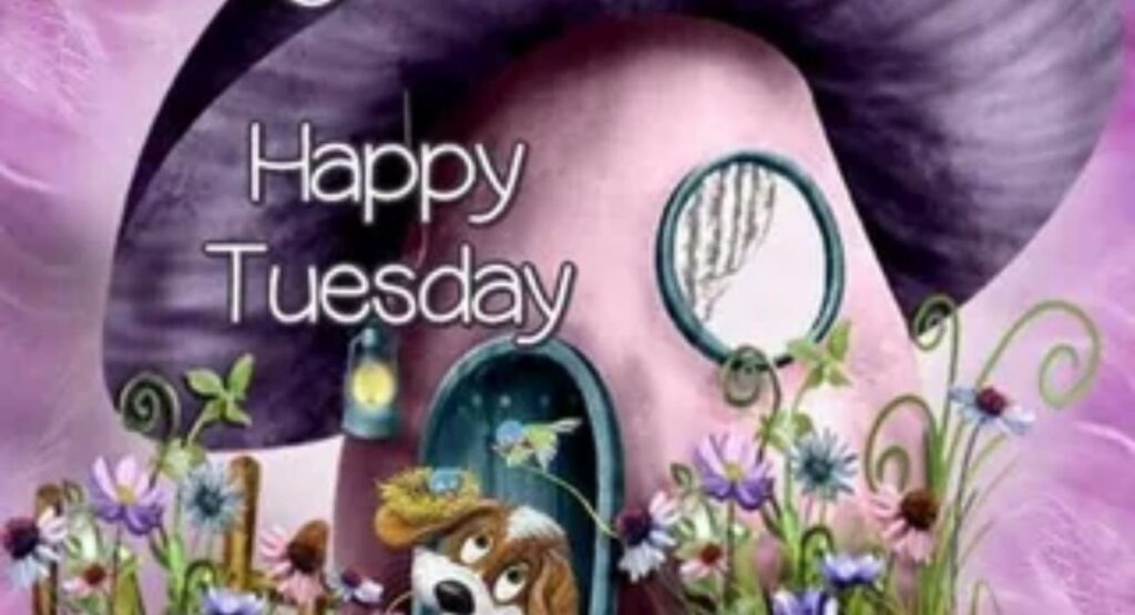 happy tuesday good morning messages quotes and blessings