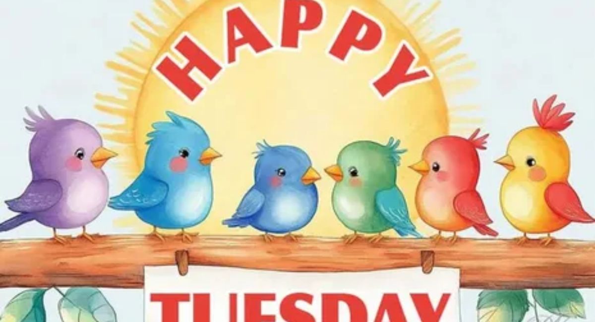happy tuesday images – blessings quotes wishes and greetings to share
