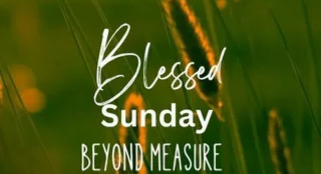 have a blessed sunday 150 beautiful wishes quotes and prayers to share