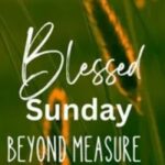 have a blessed sunday 150 beautiful wishes quotes and prayers to share