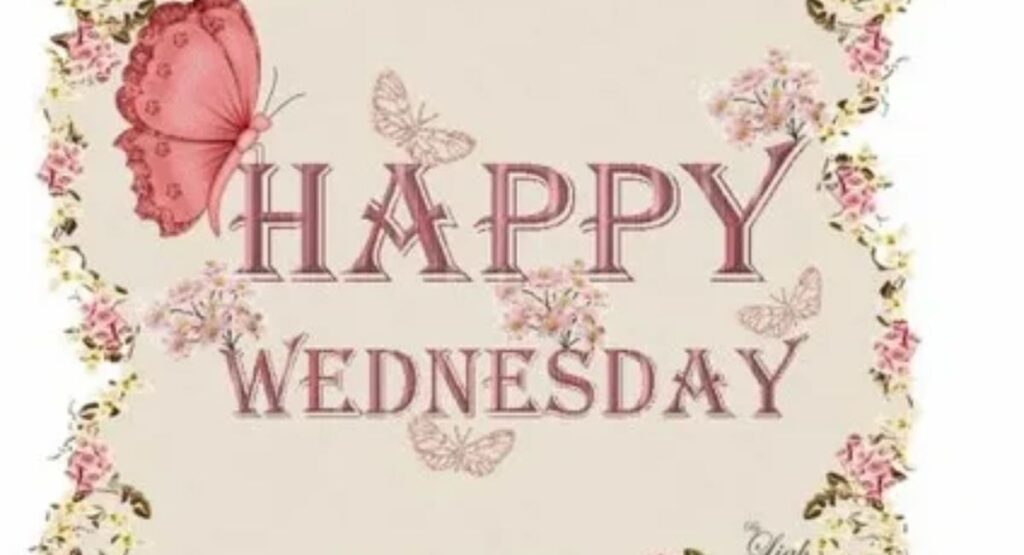 images of happy wednesday 100 free pictures to brighten your midweek