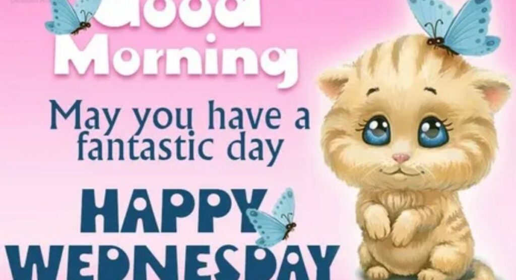 inspirational wednesday quotes for work goals and success