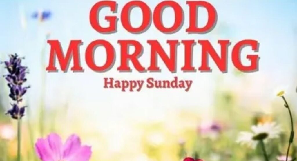 romantic good morning sunday messages for your love