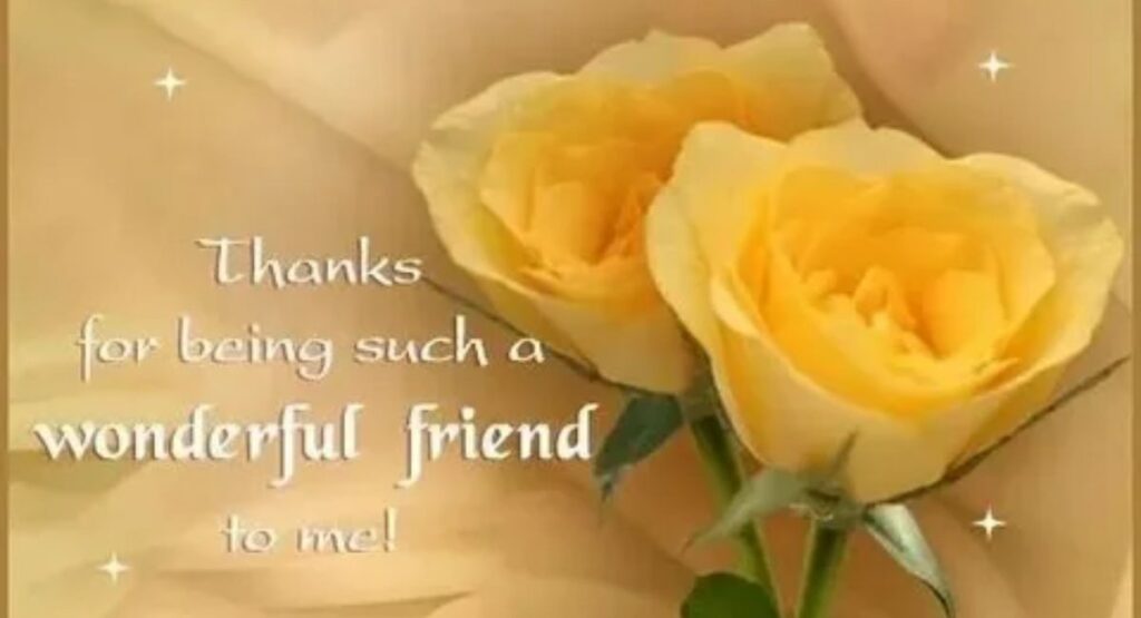 what does friends are a blessing really mean