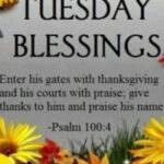 150 images of blessed tuesday – blessings quotes and prayers to brighten your day