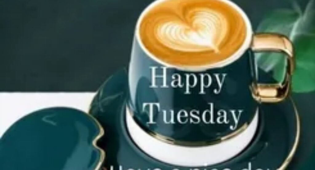 beautiful good morning happy tuesday images