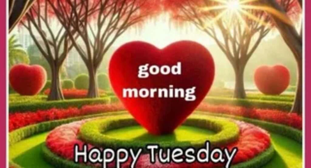 beautiful good morning happy tuesday images