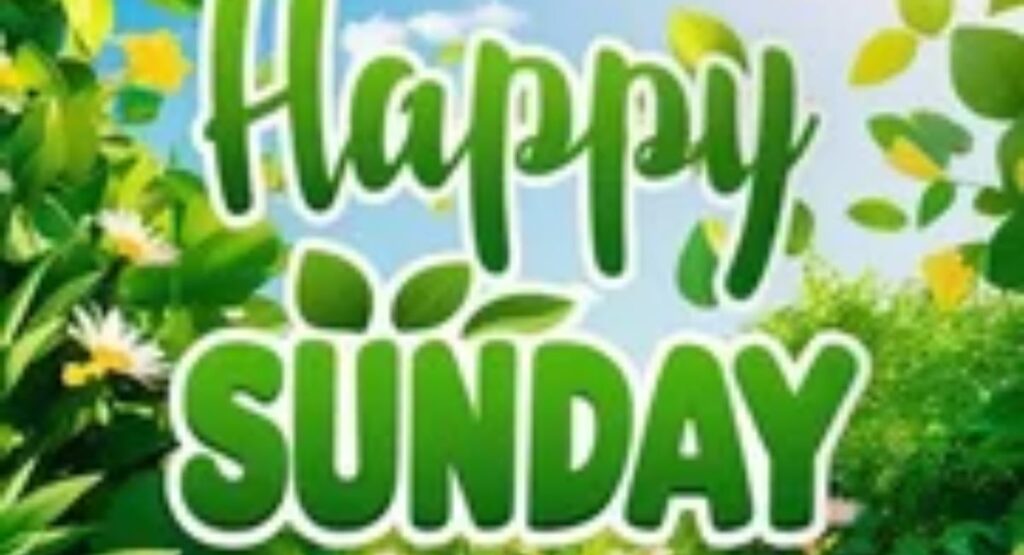 100+ Happy Sunday Photos, Images & Blessings to Share beautiful happy sunday photos