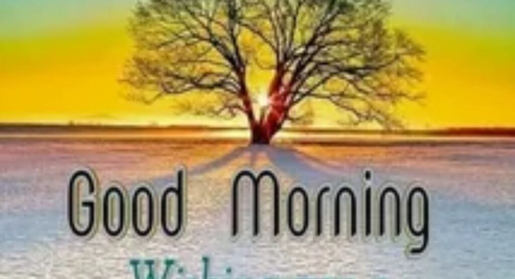 200+ Sunday Morning Blessings Images, Quotes & Prayers to Share beautiful sunday morning blessings images