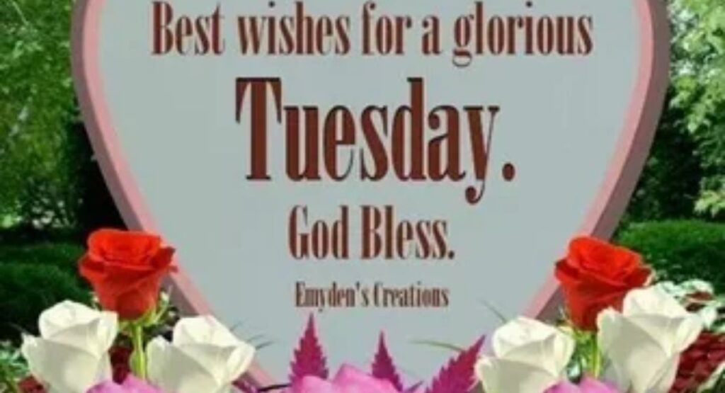 150+ Images of Blessed Tuesday – Blessings, Quotes & Prayers to Brighten Your Day good morning blessed tuesday images