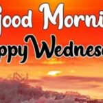 good morning happy wednesday images to kickstart your midweek vibe