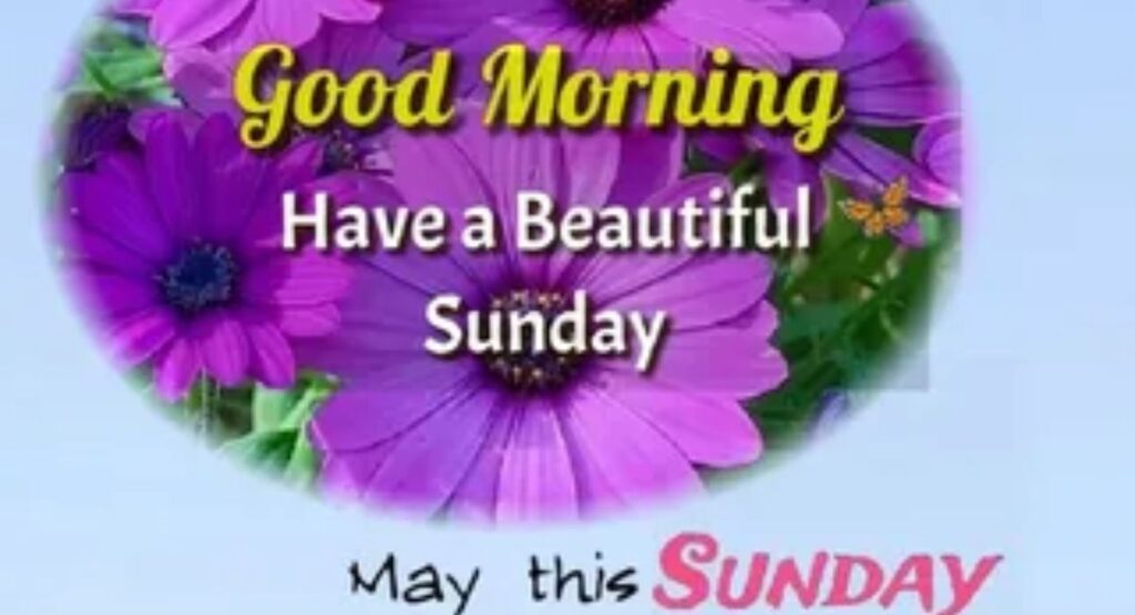 150+ Beautiful Good Morning Sunday Wishes for WhatsApp & Instagram Status good morning sunday status quotes