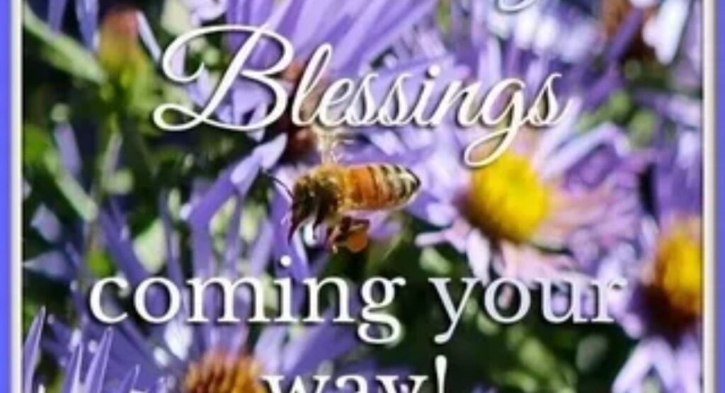 Inspiration Saturday Blessings: Quotes, Prayers, Images & Messages to Uplift Your Weekend inspiration saturday blessings quotes to motivate your day