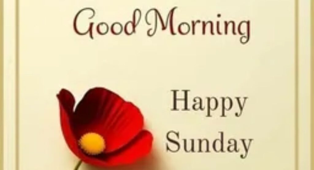 150+ Beautiful Good Morning Sunday Wishes for WhatsApp & Instagram Status sweet good morning sunday wishes